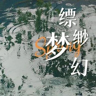 雨润山林,九寨沟雾气袅袅漫卷碧水青山