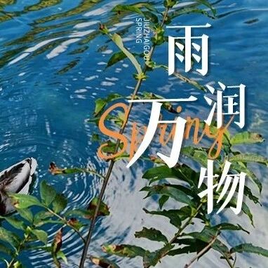 九寨沟春雨浸芳洲,绿意染清光