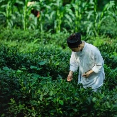 我在玉清宫找到了春天的“终极松弛感”