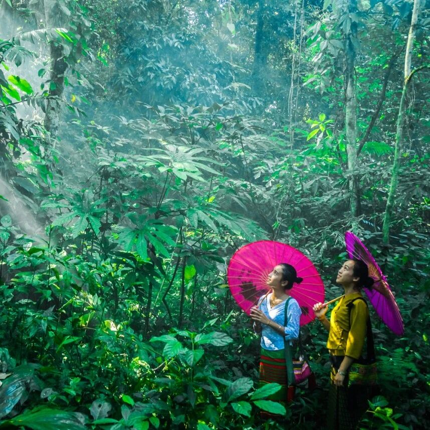 楚雄人专属版纳植物园福利