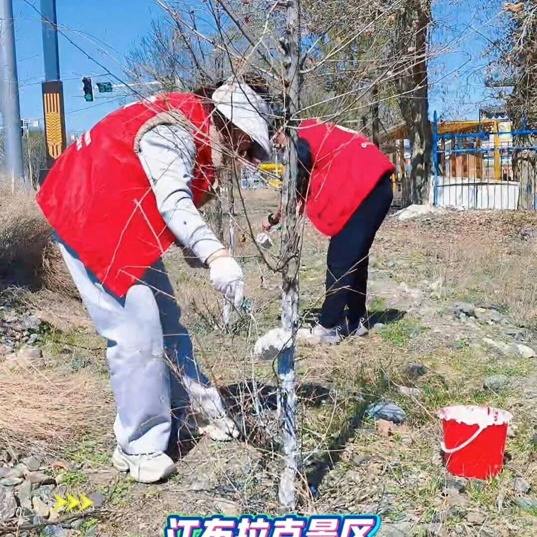 深耕环境整治,焕亮景区颜值