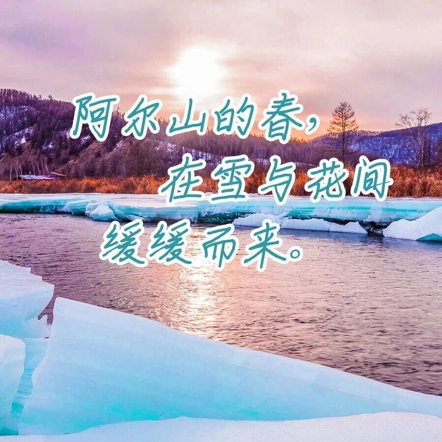 阿尔山的春,在雪与花间缓缓而来