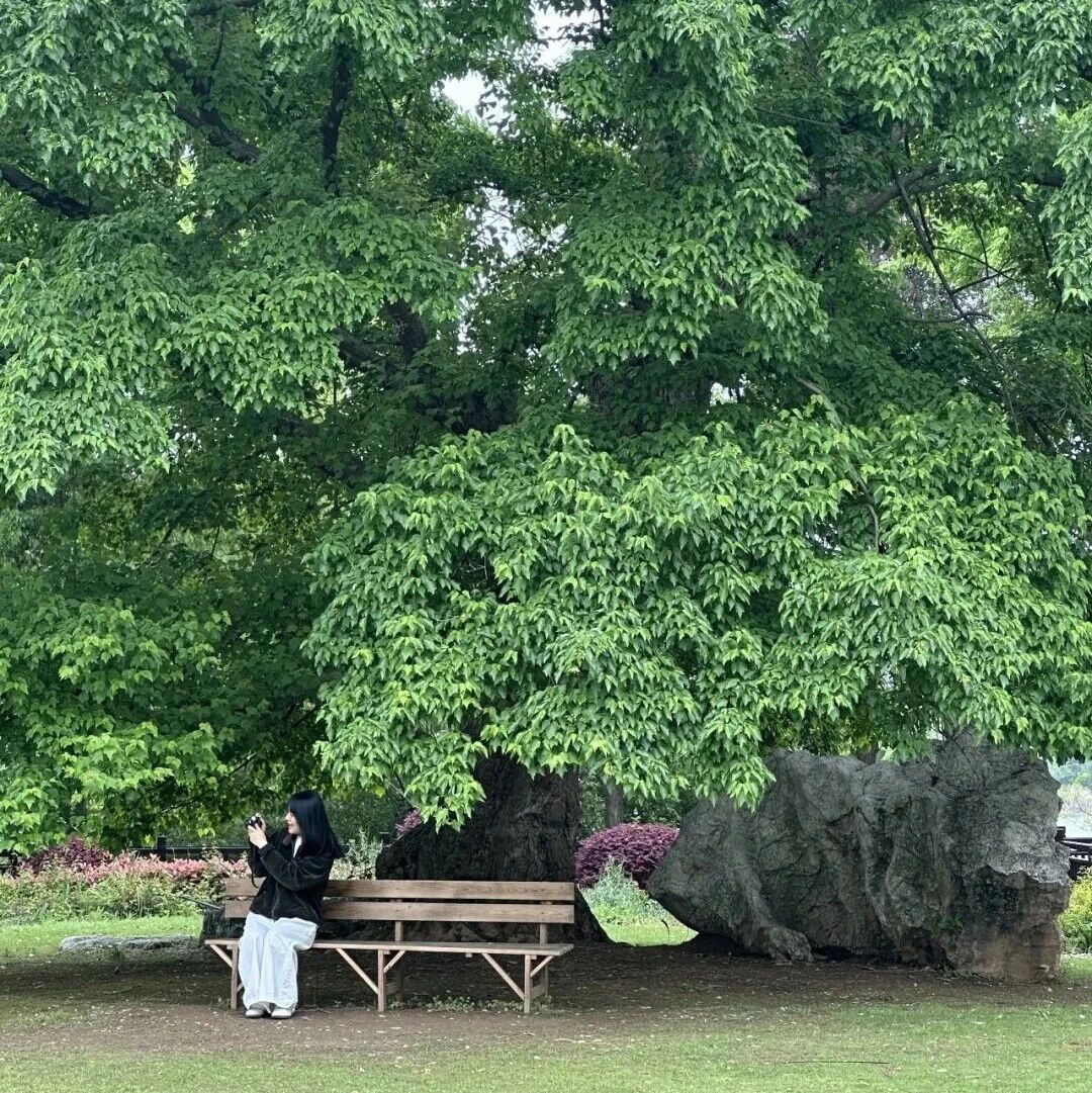 最美人间四月天,春游研学正当时|学生们在这里用画笔记录春天