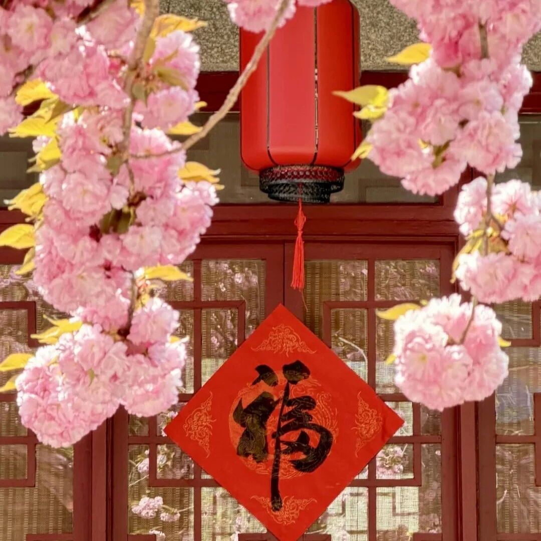 华严春日限定的中式美学,太夯了!