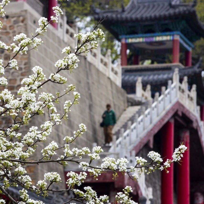 “色彩千山 光影春天”摄影大赛开始啦!