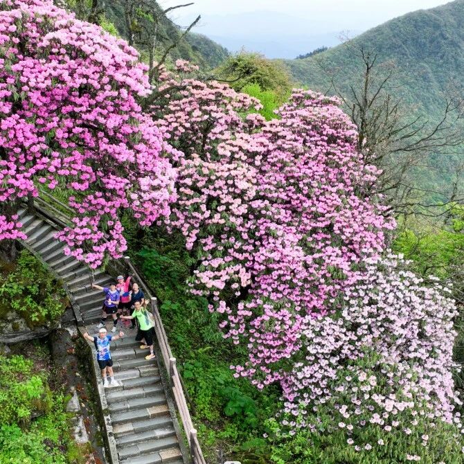 花漾峨眉,越野燃情!三重利好,解锁仙山春日漫游热潮