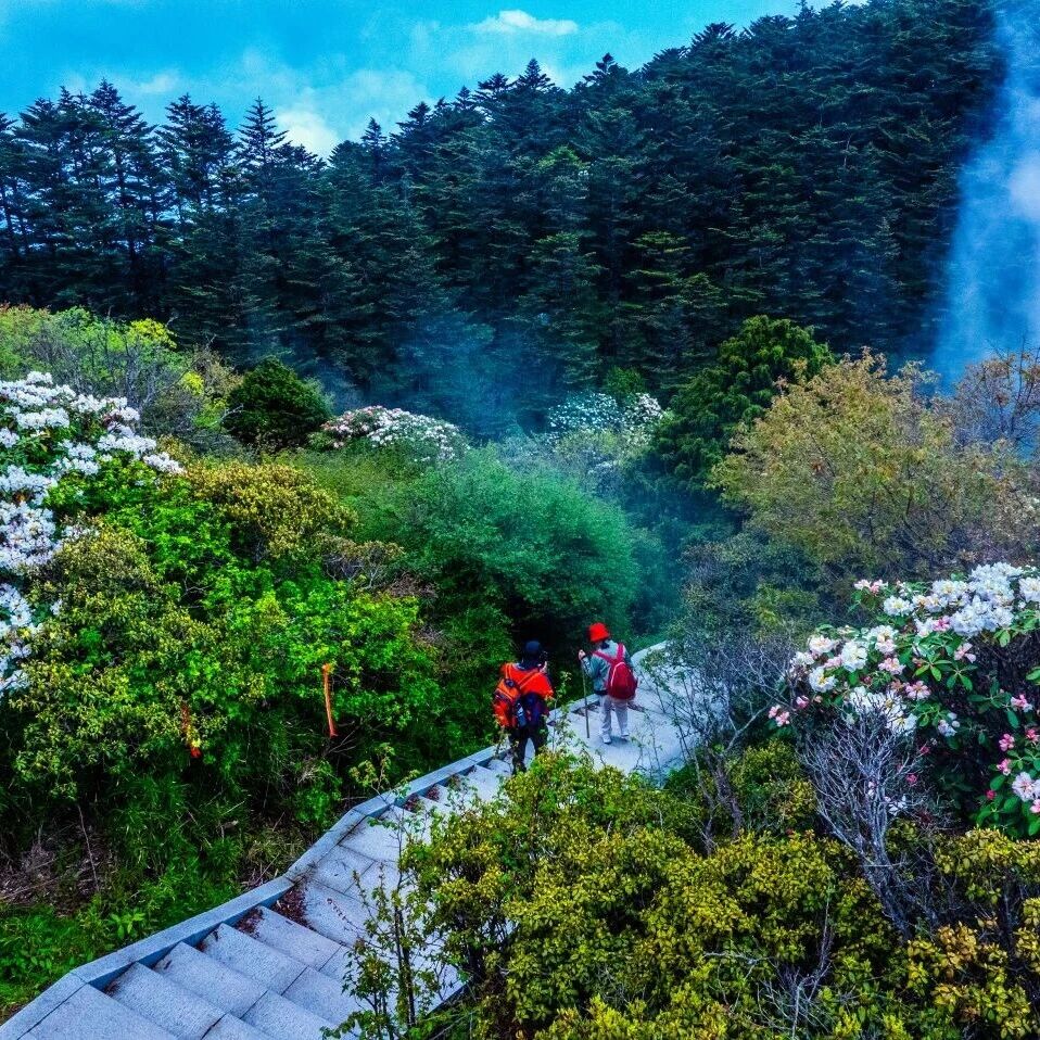 问道·花间|本周末开跑!给选手和同行亲友的一份山野春游指南