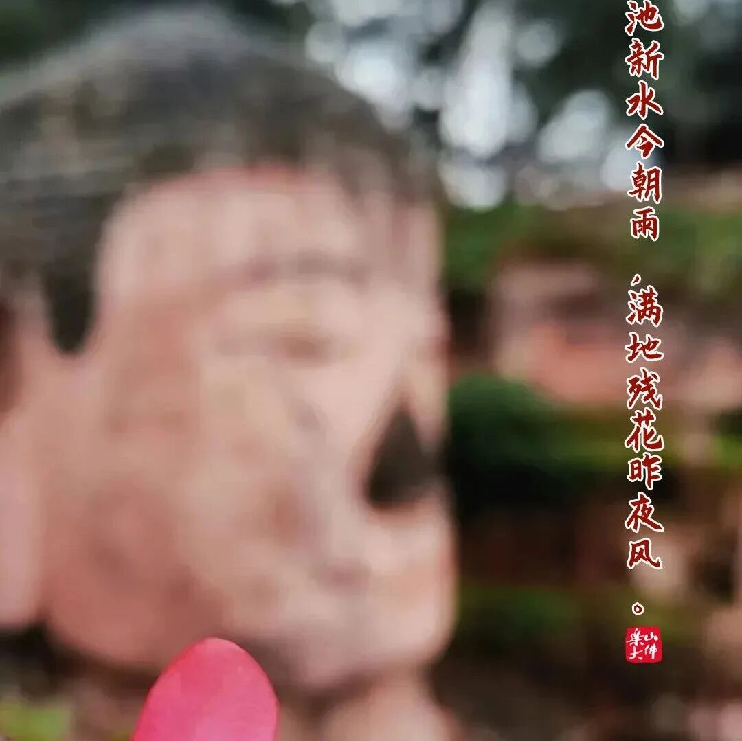 乐言乐语 | 一池新水今朝雨,满地残花昨夜风