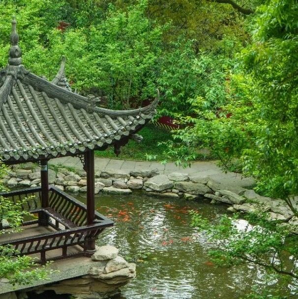 凌云故事・人文揽胜丨凌云山巅藏风雅,梅香满园怀放翁——苏园