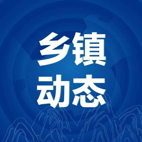 乡镇动态丨这周在忙啥