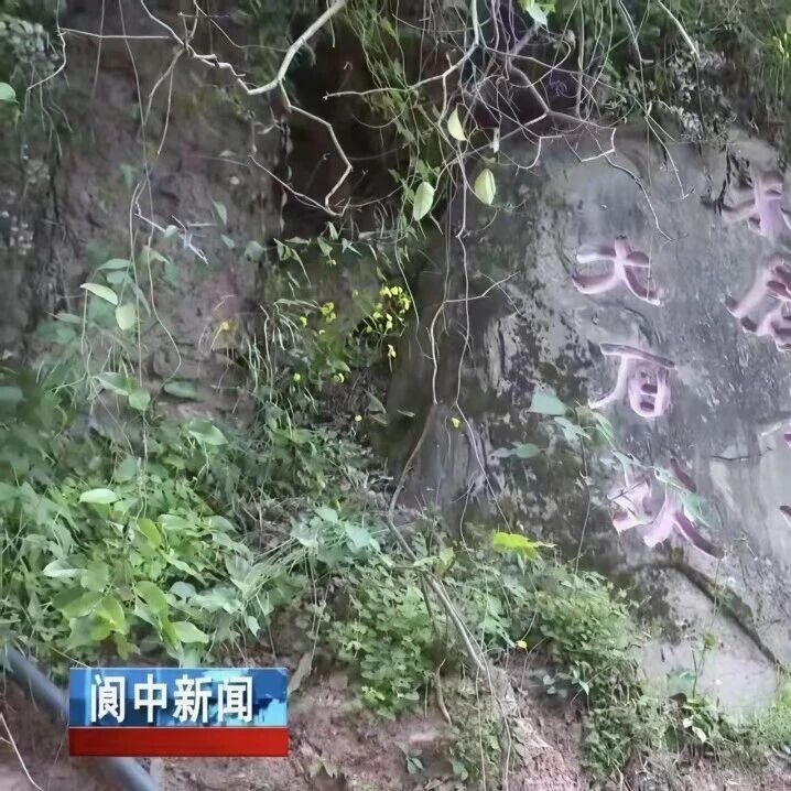 省人大常委会赴阆调研古蜀道保护利用工作