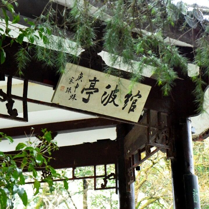 一亭绾波,藏尽花港清幽