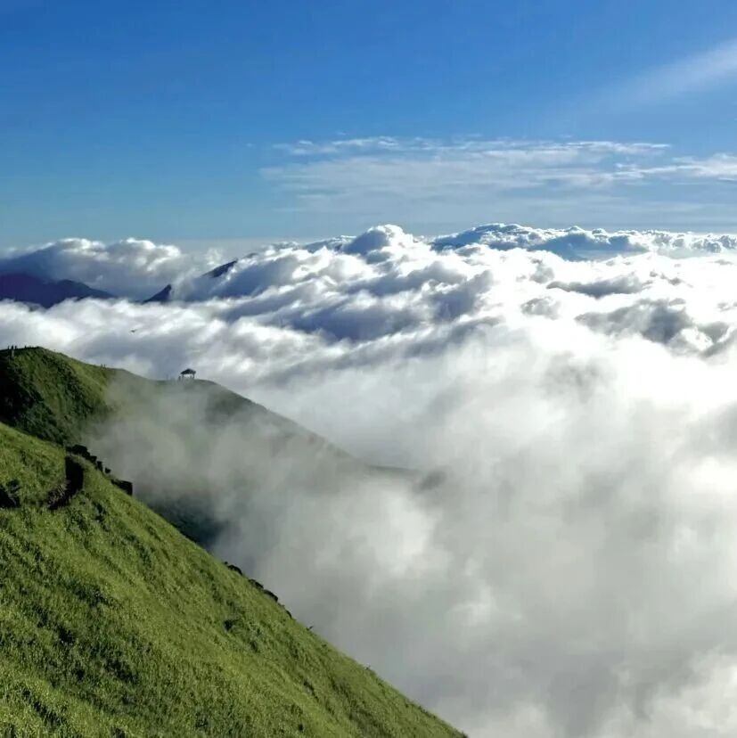0元住民宿‼️武功山“躺赢式”春游大放送~