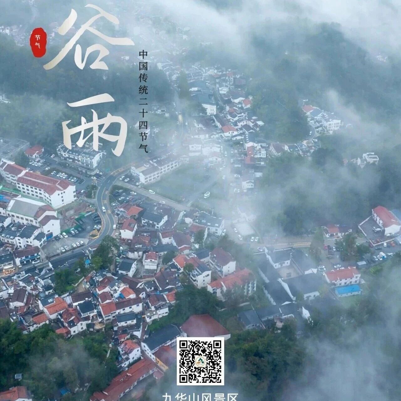 谷雨|雨生百谷润九华,山色清新意盎然