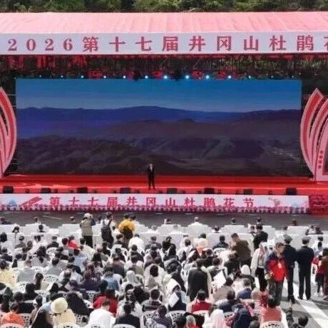 映山红遍处 客从四方来——第十七届井冈山杜鹃花节开幕侧记