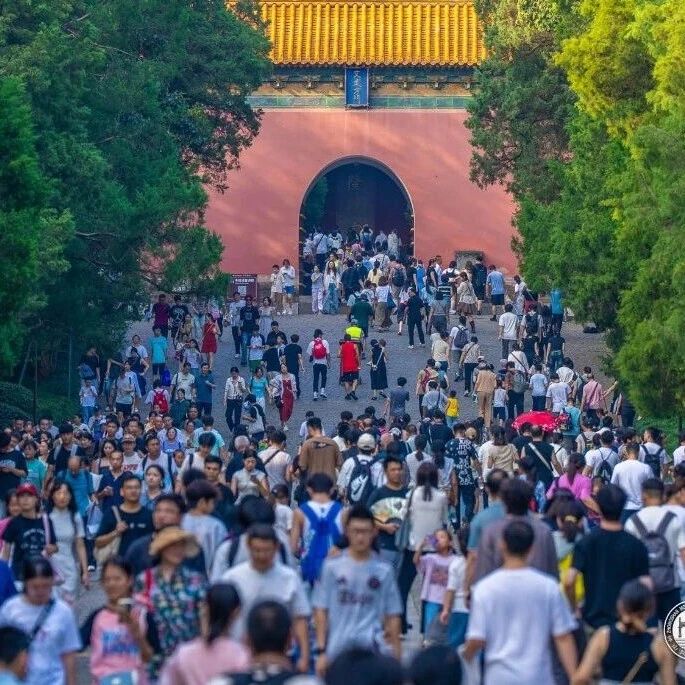 在明孝陵的人潮中偶遇朴树!!