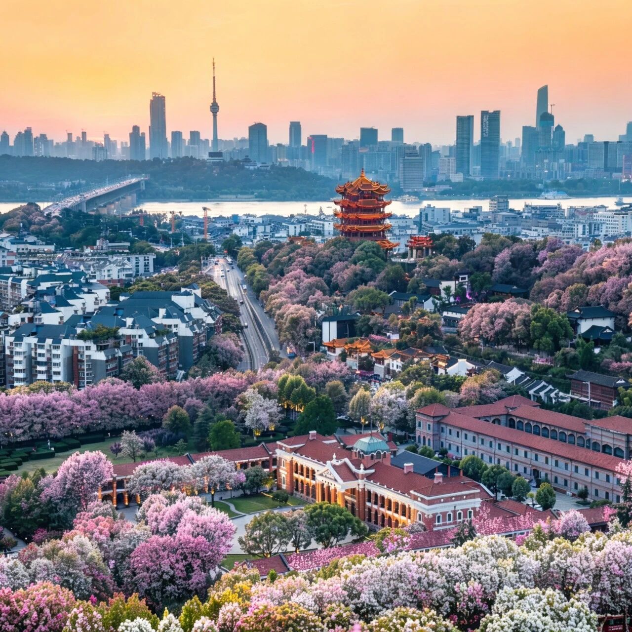 名楼同春,2026“武汉都市圈”花展来了