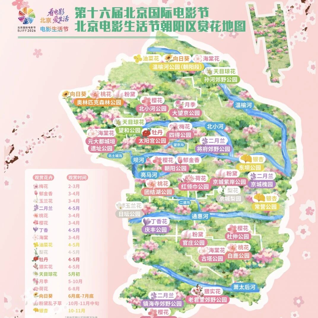 5条宝藏线路+票根福利!北影节朝阳专属游玩攻略来啦→