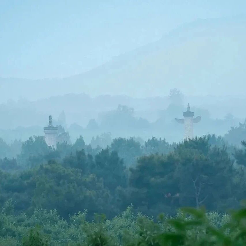 谷雨 | 雨落东陵,春深几许
