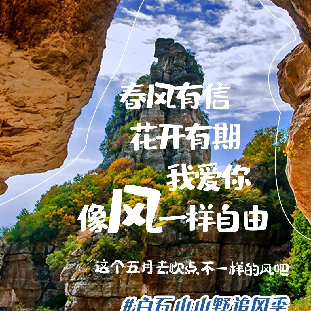 山野追风季|一起在风里疯!