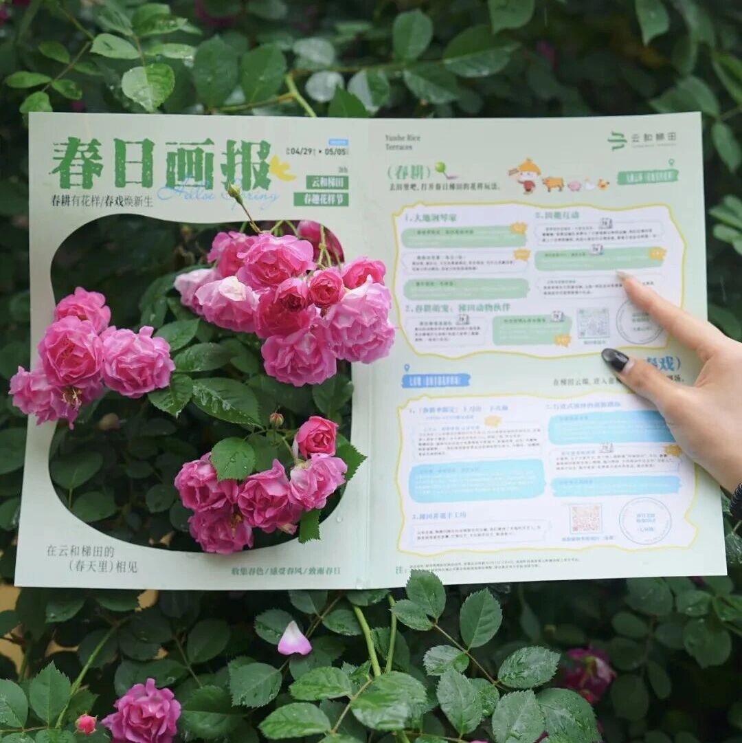 【春趣花样节·城市特辑】从「一页春天」开启,赴一场梯田春日之约