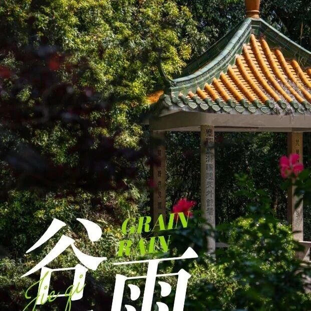 谷雨 | 雨生百谷醉樵山,暮春养生正当时