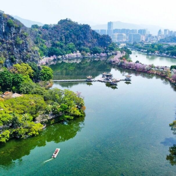 星湖太美了,凭实力“圈粉”硕士!扎根肇庆不走了↘