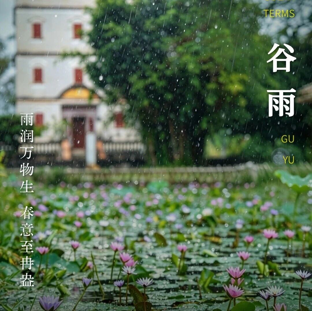 节气 | 时至谷雨 万物生长