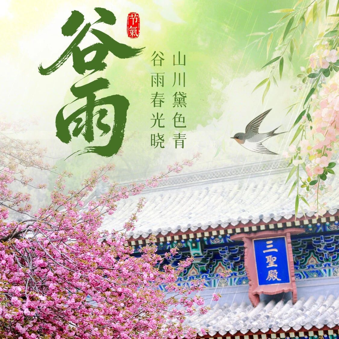 二十四节气打开崂山丨谷雨“春景天花板”,再不看就入夏了!