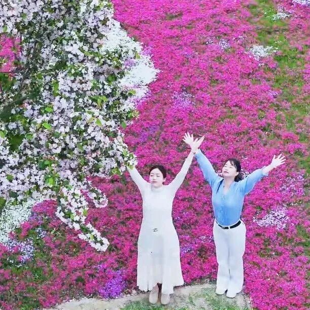乐享春假 嗨玩五一丨芝樱!美翻了!