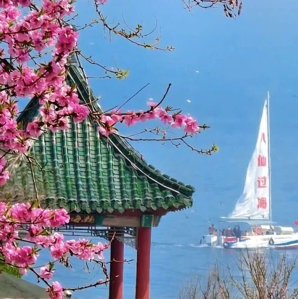 乐享春假 嗨玩五一丨看,老北山的桃花朵朵开!