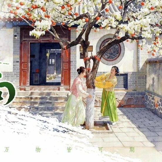 谷雨丨雨生百谷,时至暮春