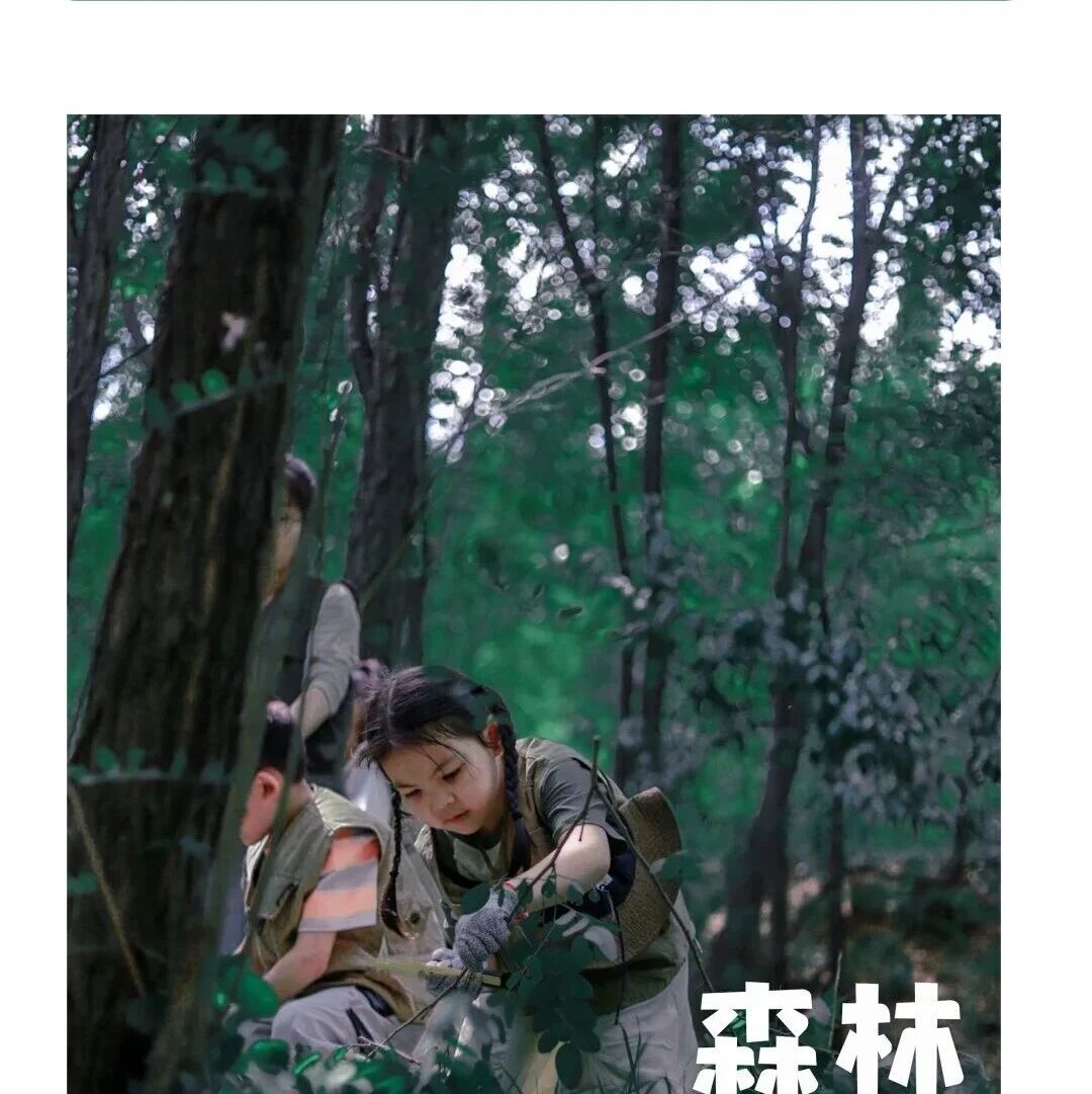 活动招募|职业体验官——森林理发师
