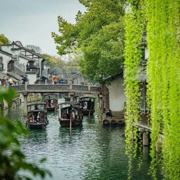 乌镇礼遇平安!“五星场地”藏不住了