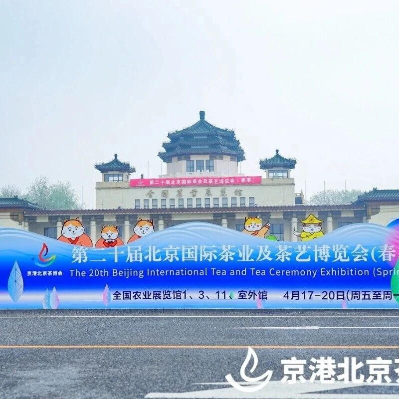 醉西湖 | 四载京华,一茶如故