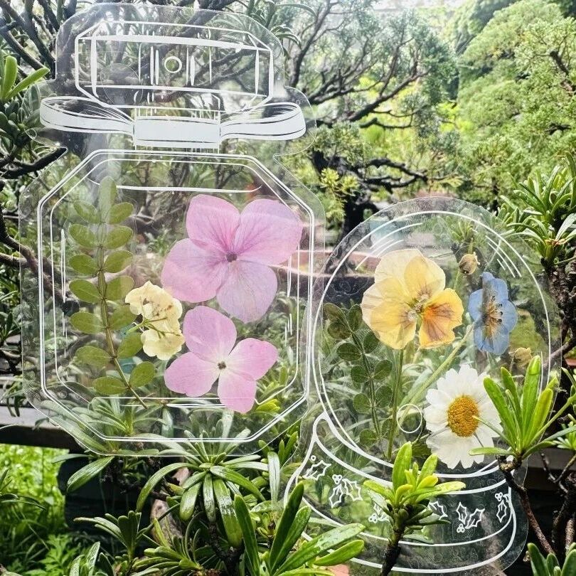 一起“趣”寻花|寻花+压花+非遗,快来参加春日趣味研学之旅
