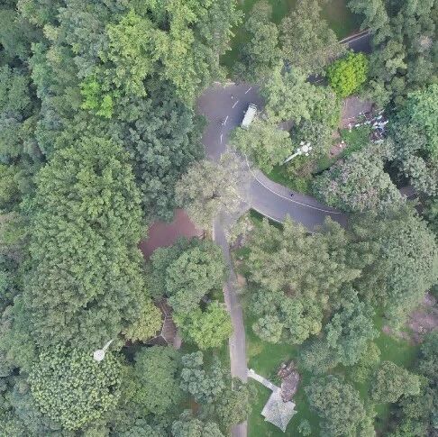 把树种进白云山,2026白云山明珠楼「家庭植树趴」火热招募中