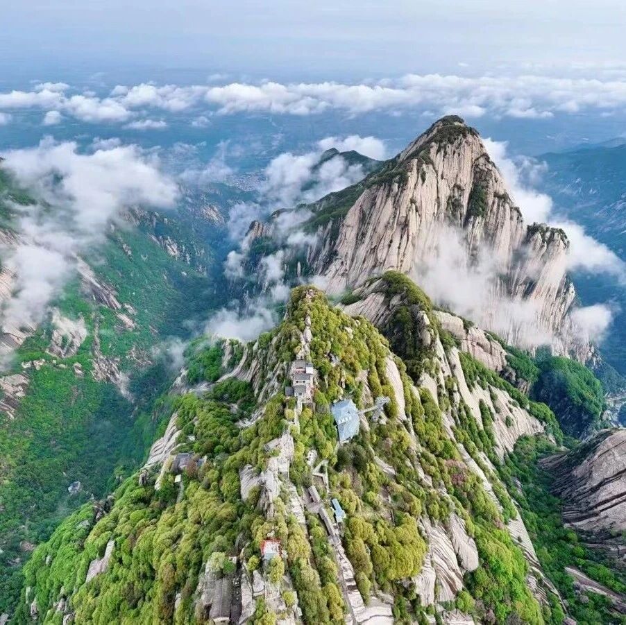赤橙粉绿绣春颜,最美华山四月天