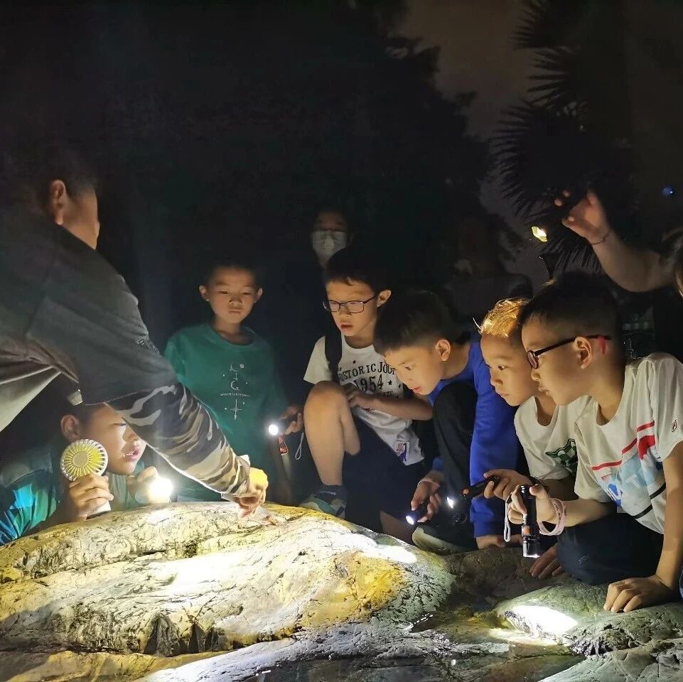 夜观招募 | 夜观青秀山・5月燃情开启!