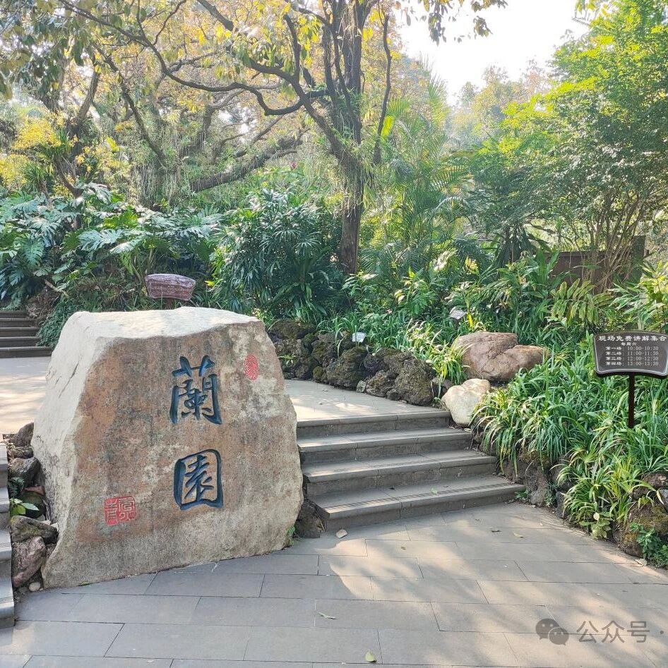夏木成荫·万象峥嵘 | 青秀山5月公益讲解安排