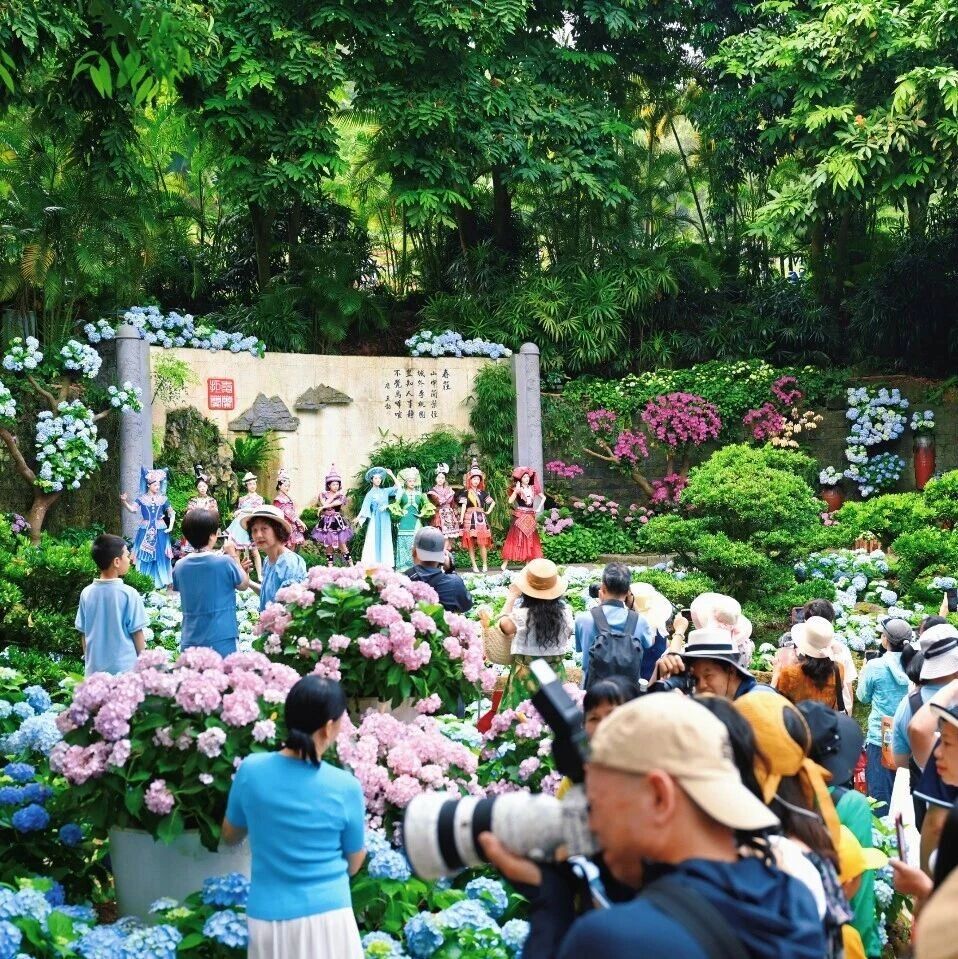 36.01万人次!三月三假期青秀山入园游客量再创历史新高!
