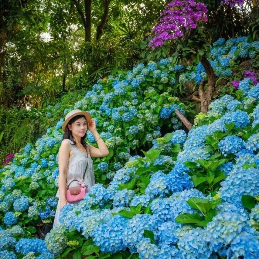 南宁青秀山·欢乐“三月三”|花艺展已美成仙境,六大活动陪你过个花样假期