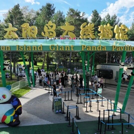 快抢!芝士、芝麻9周岁生日礼——太阳岛大熊猫馆现售门票7折优惠