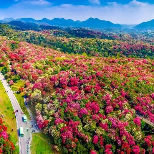 毕节获评《中国国家旅游》首批「宝藏小城」!