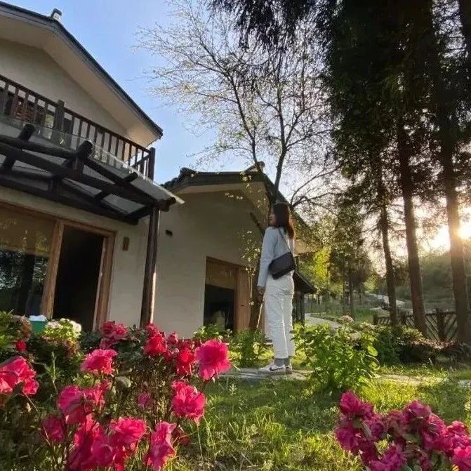 五一假期倒计时!百里杜鹃这些宝藏住宿地你知道几个?