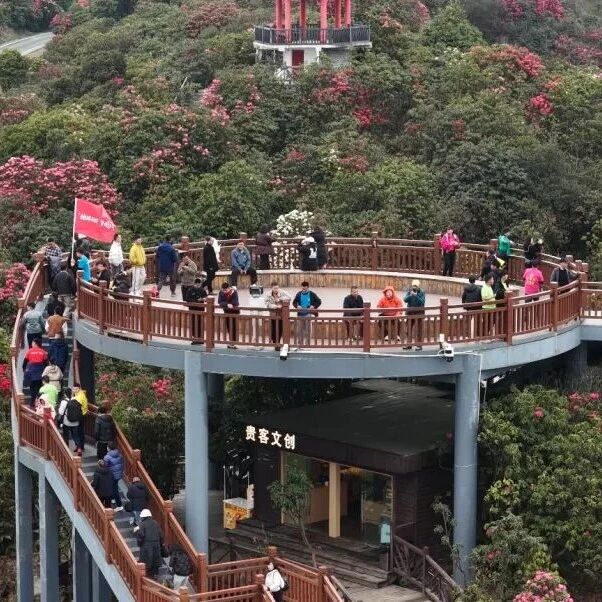 “好戏连台”引客来 文体旅融合添新彩——杜鹃花季文体旅活动侧记