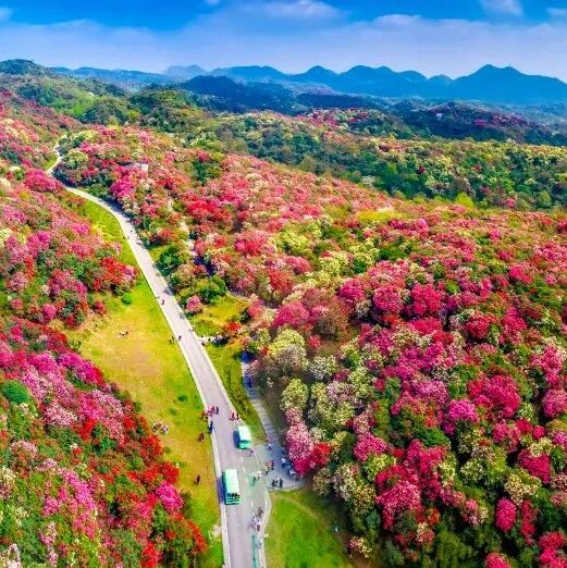 毕节获评《中国国家旅游》首批「宝藏小城」!