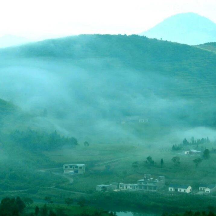 谷雨·百里杜鹃|暮春无花,自有清欢