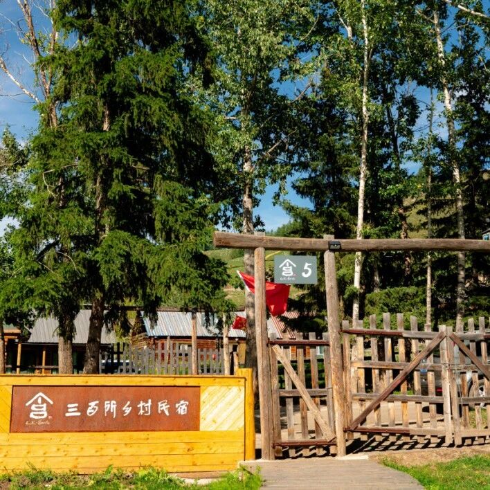 白哈巴三百所5.1正式开业,沉浸式邂逅北疆春日