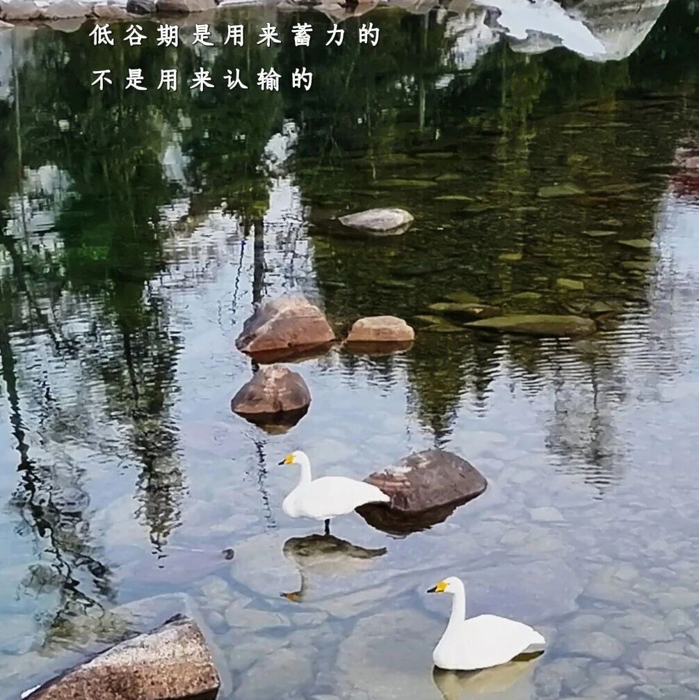 早安 ·我的阿勒泰 | 低谷期是用来蓄力的,不是用来认输的。